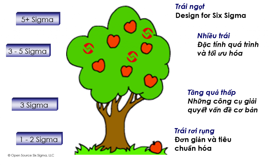 Đào tạo six sigma